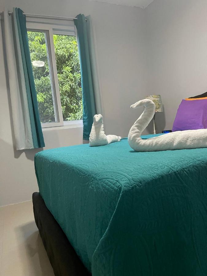 Jamrock Suites Kingston Kültér fotó